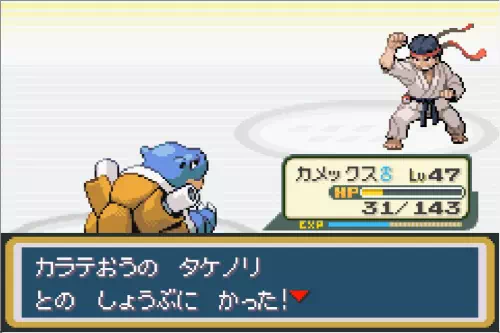 ポケモンリーフグリーン 道場破り